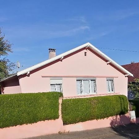 Superbe Maison 3 Chambres 1 Etage Et Sous-Sol, Avec Jardin Et Terrasse Altkirch Esterno foto