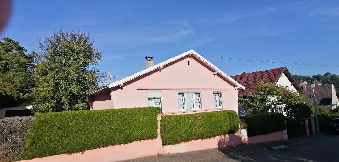 Superbe Maison 3 Chambres 1 Etage Et Sous-Sol, Avec Jardin Et Terrasse Altkirch Esterno foto